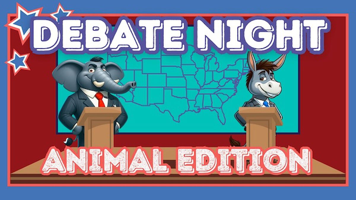 Debate Night - Animal Edition image number null